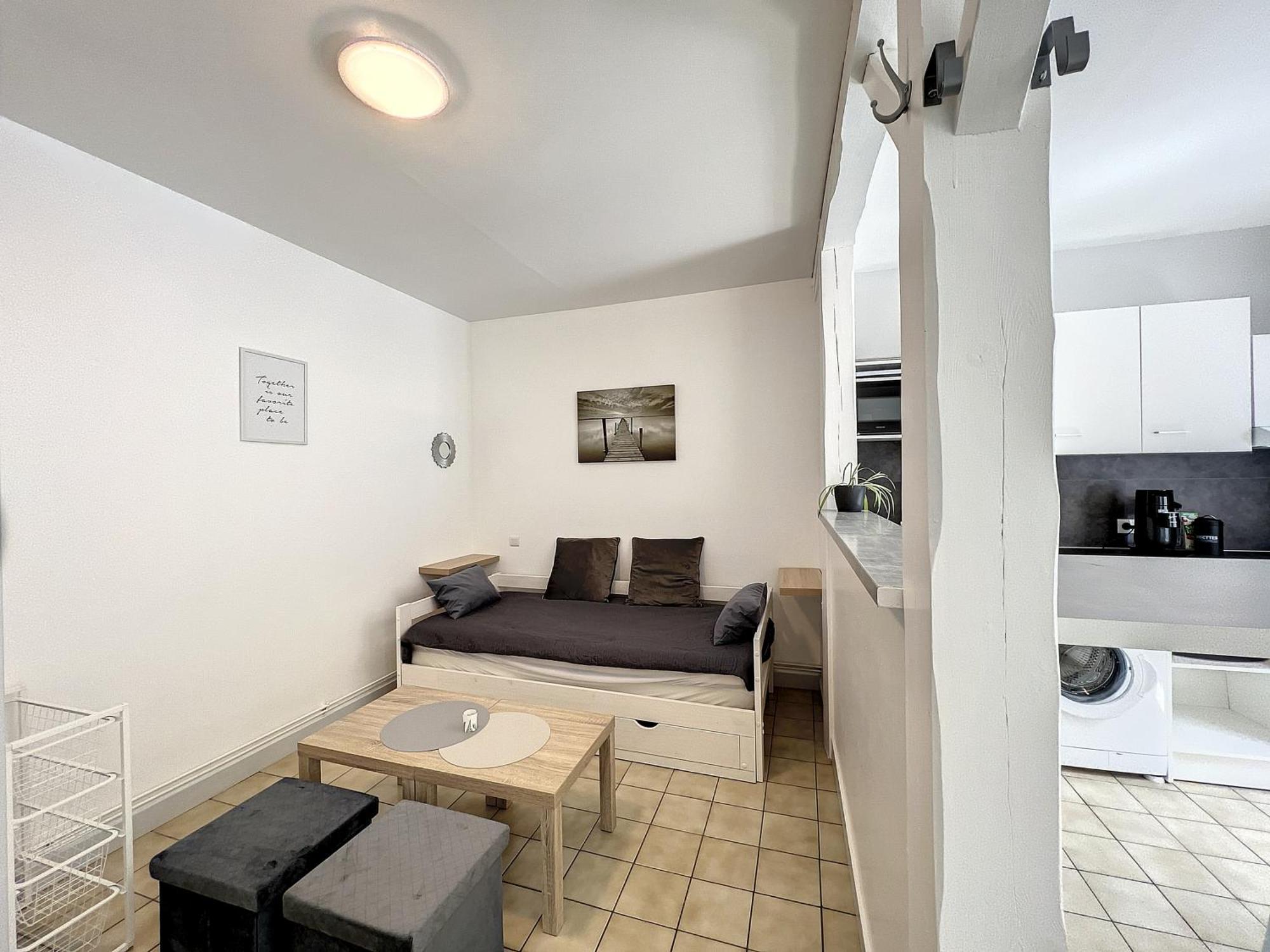 Les Bords Du Clain - Entree Autonome Studio Poitiers Extérieur photo